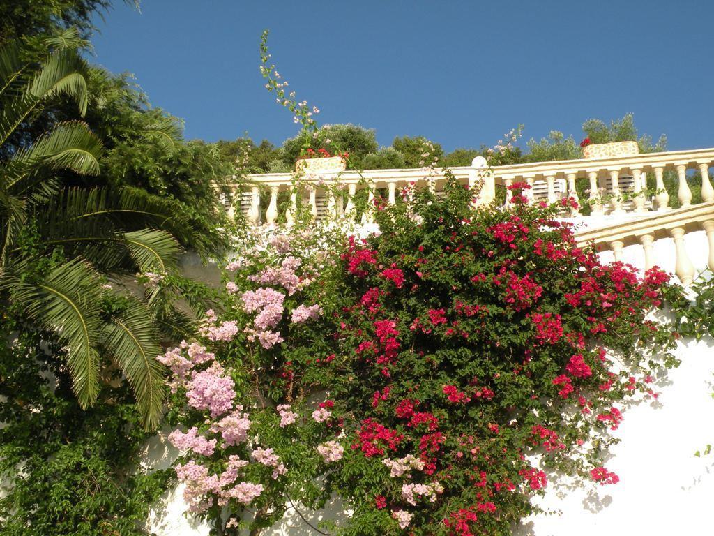 קורפו Oniro Villas מראה חיצוני תמונה